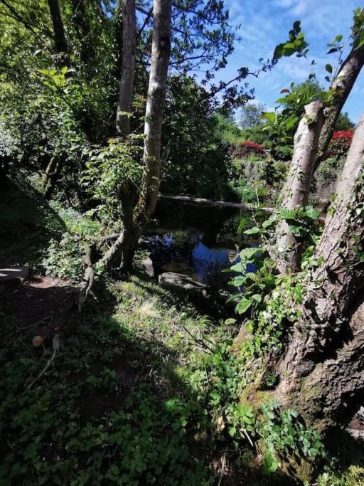 Glan-Yr-Afon Cottage Two Bedrooms Sennybridge المظهر الخارجي الصورة
