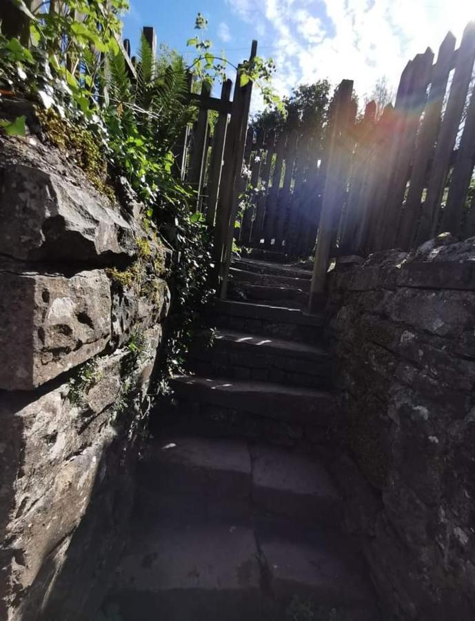 Glan-Yr-Afon Cottage Two Bedrooms Sennybridge المظهر الخارجي الصورة